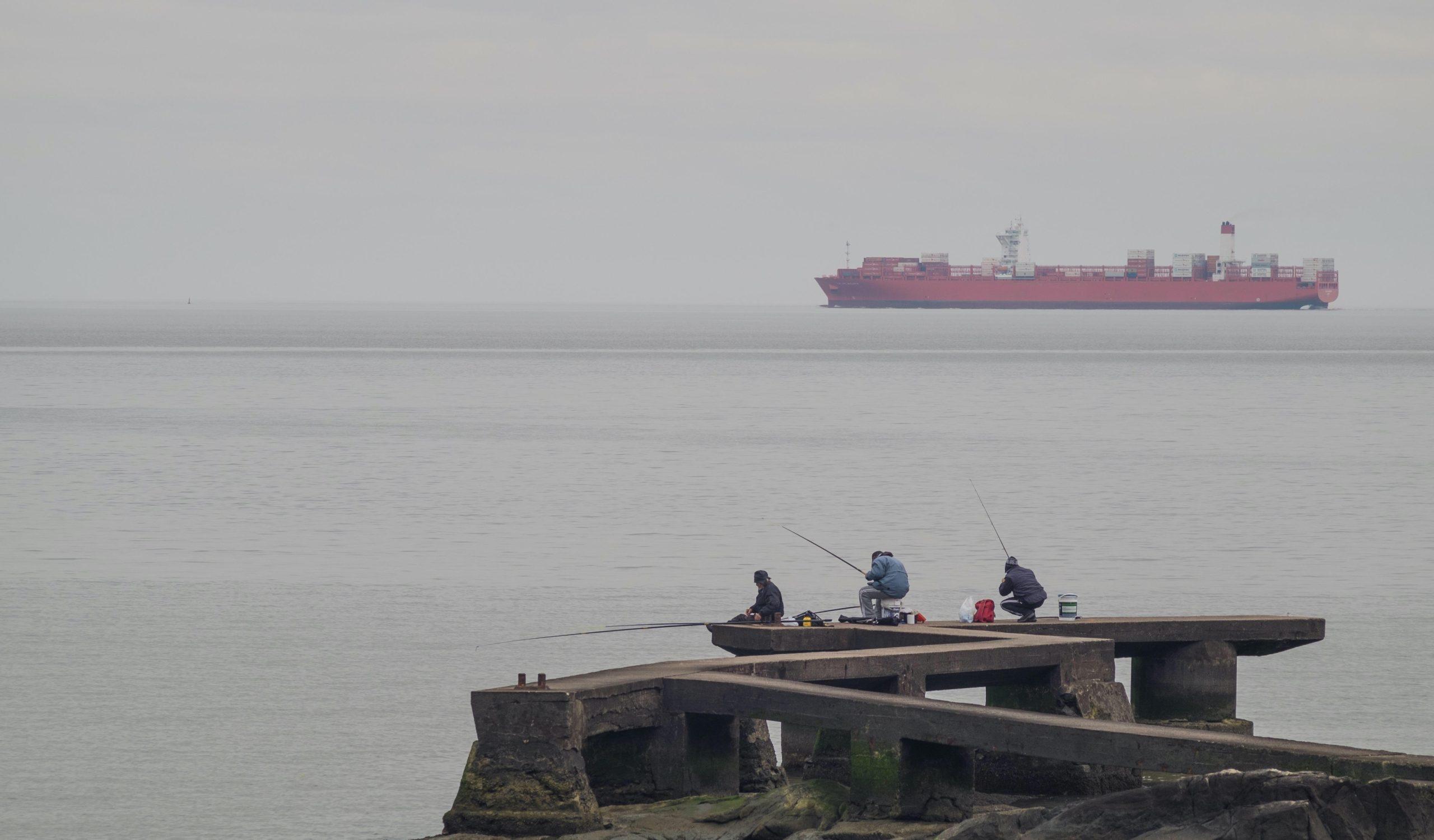 <p>Cristina Dorador hopes to be elected to Chile&#8217;s constituent assembly and help draft an &#8216;ecological&#8217; constitution (image: Cristina Dorador)</p>