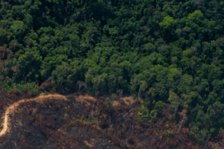 <p>Dos mundos paralelos: la deforestación de la vegetación amazónica en 2021 fue la más alta de la década, según el INPE (Imagen: Flávia Milhorance/Diálogo Chino)</p>