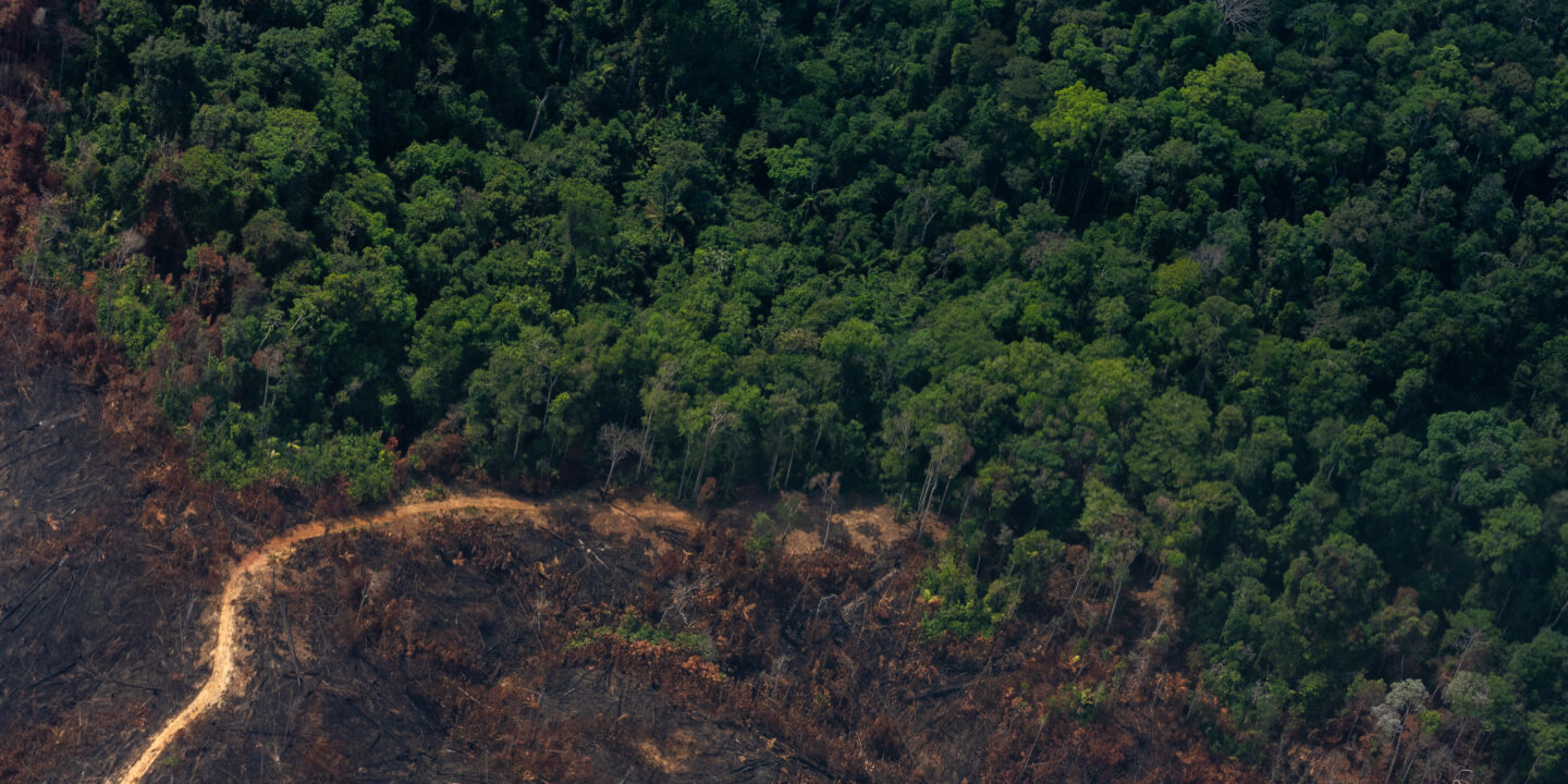 aerial photo of deforestation in Brazilian Amazonia