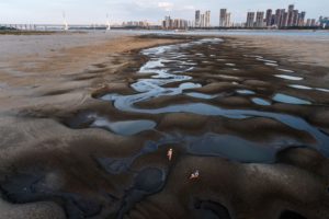 <p>The exposed bed of the Yangtze River in Wuhan during this summer’s record-breaking heatwave (Image: Ren Yong / Alamy)</p>