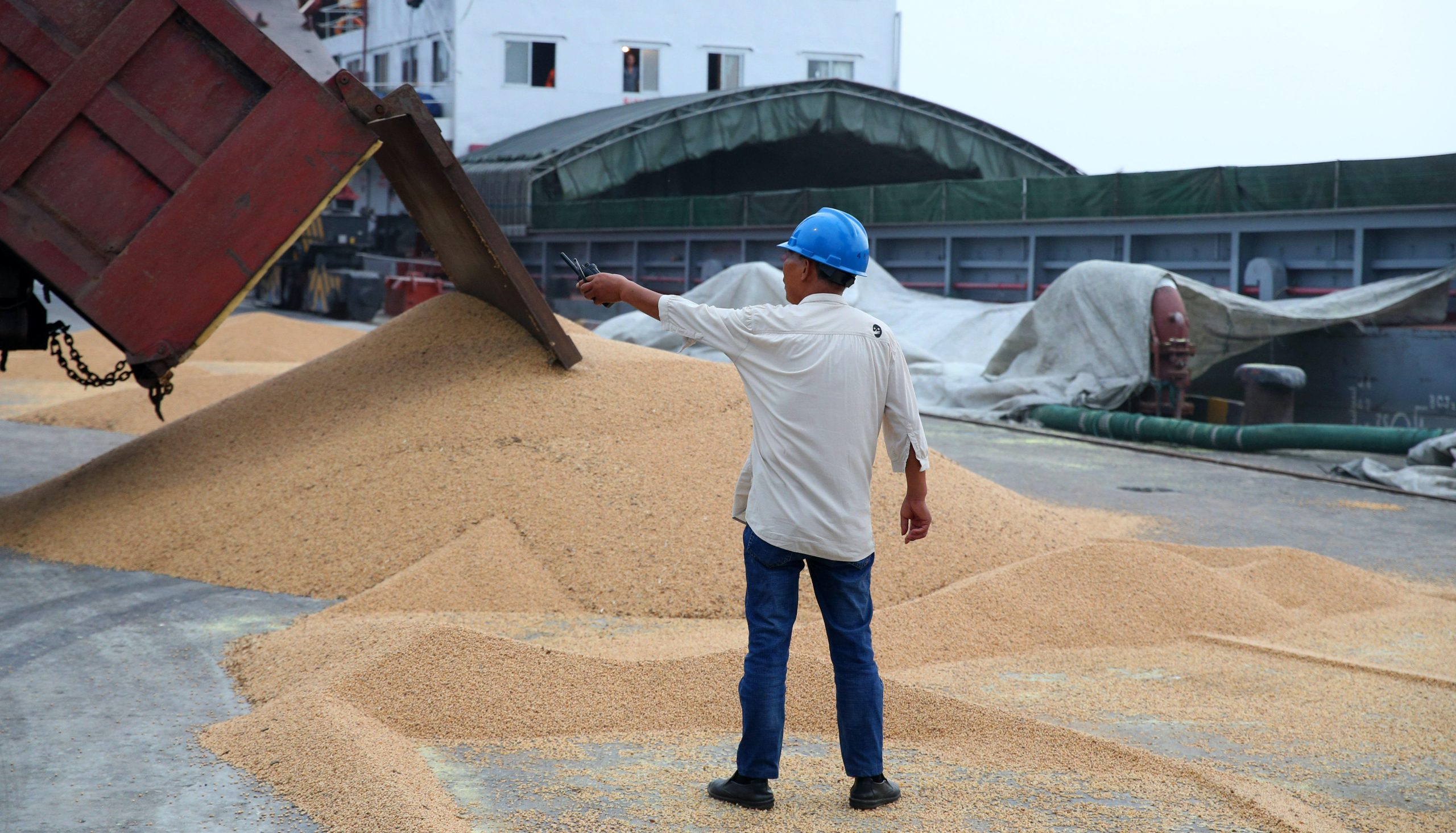 <p>Soybeans imported from Brazil are unloaded in Nantong, in China’s Jiangsu province. A new study has explored the relationship between environmental and social protections in the Amazon, Chinese investment and price changes (Image: Zuma Press / Alamy)</p>