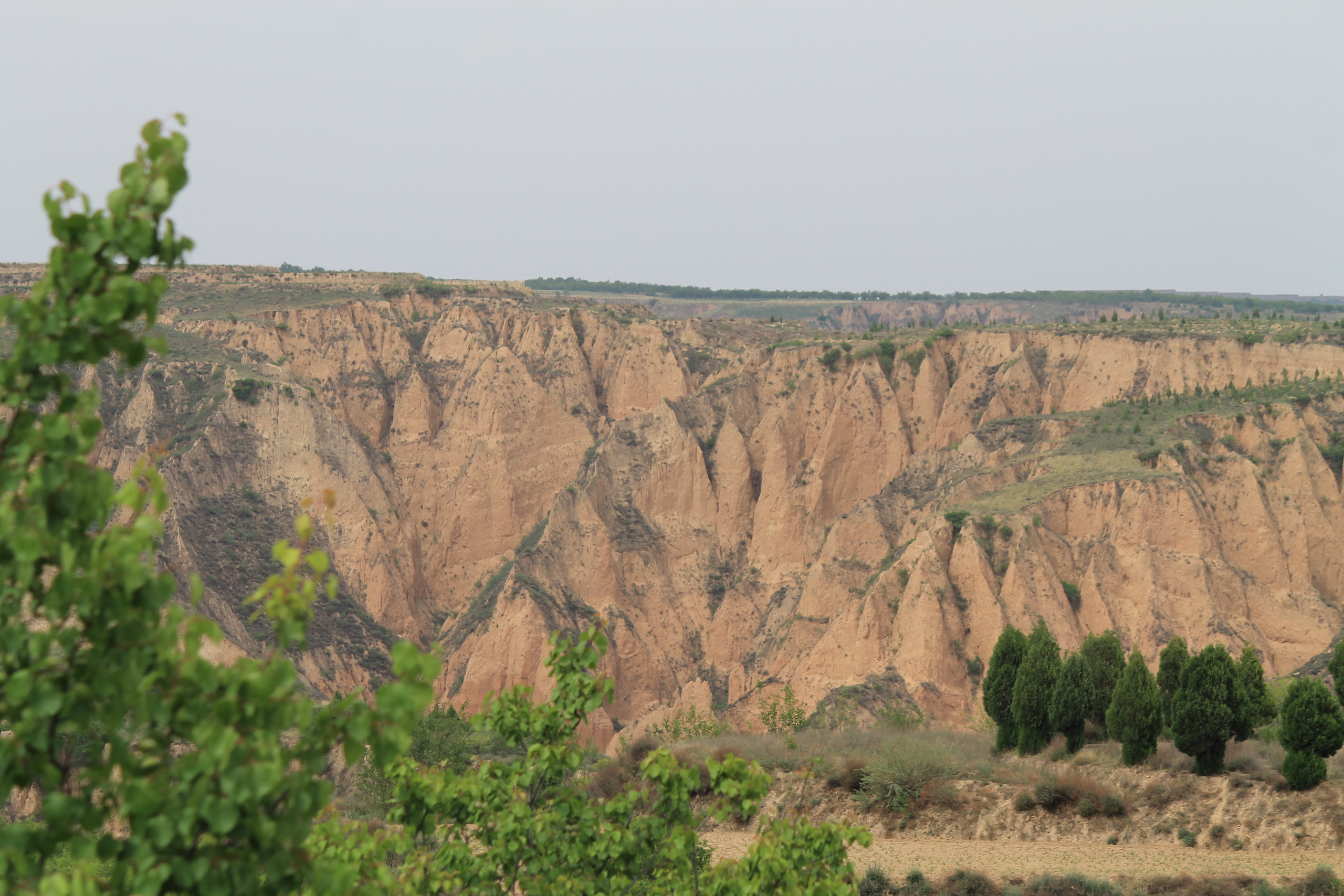 The result of centuries of erosion is evident in gullies near Yulin 