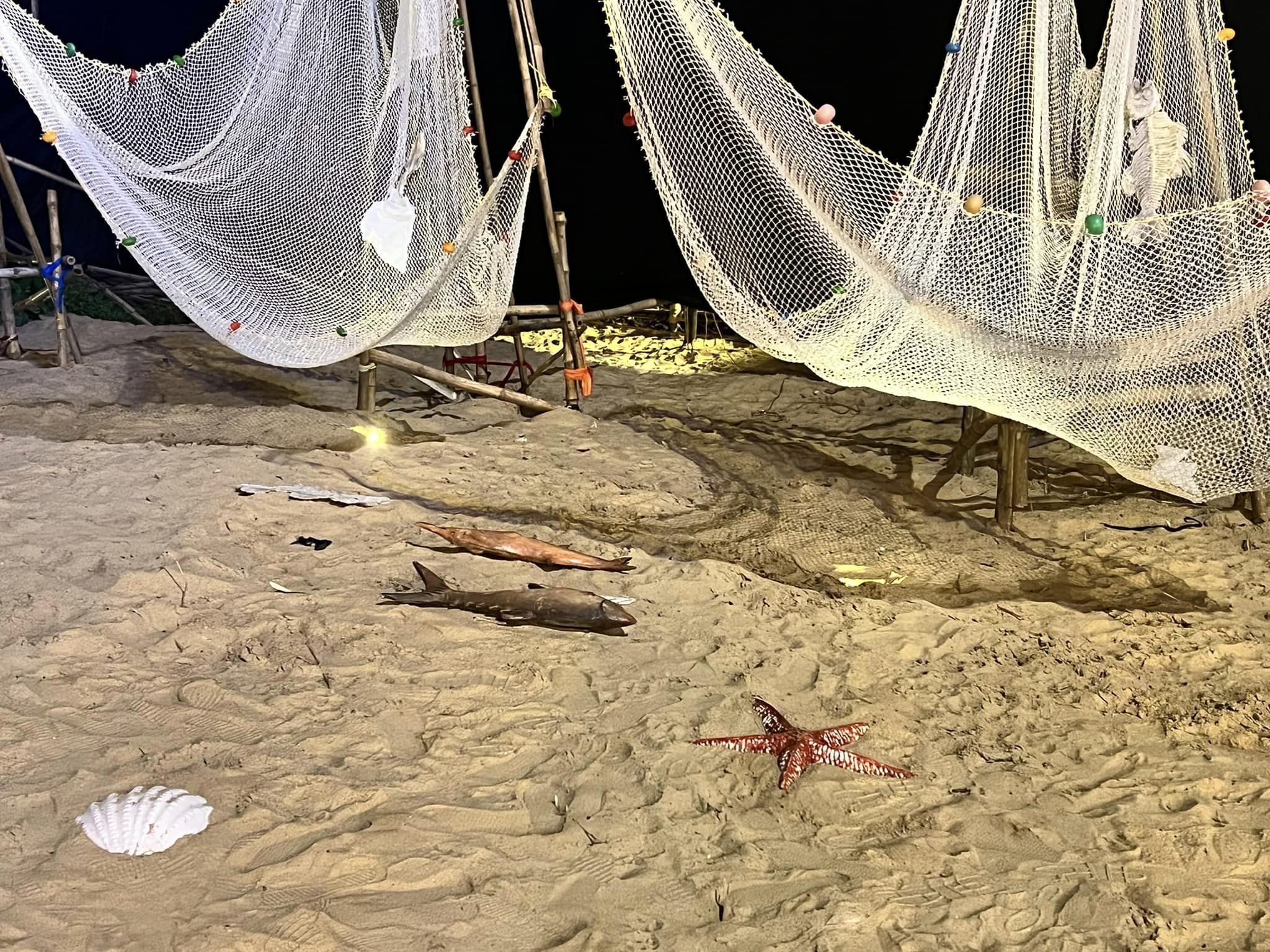 nets hanging over sandy area