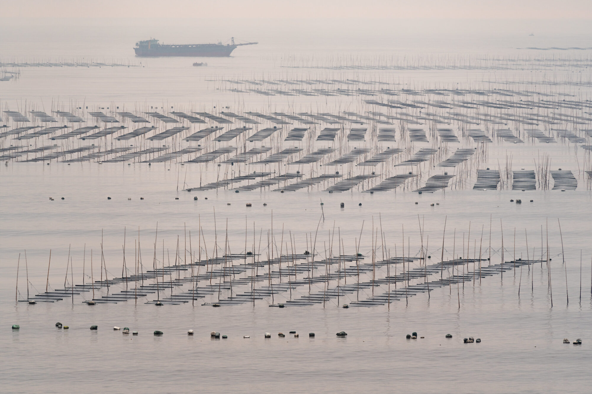 Rows of seaweed farms on ocean in China