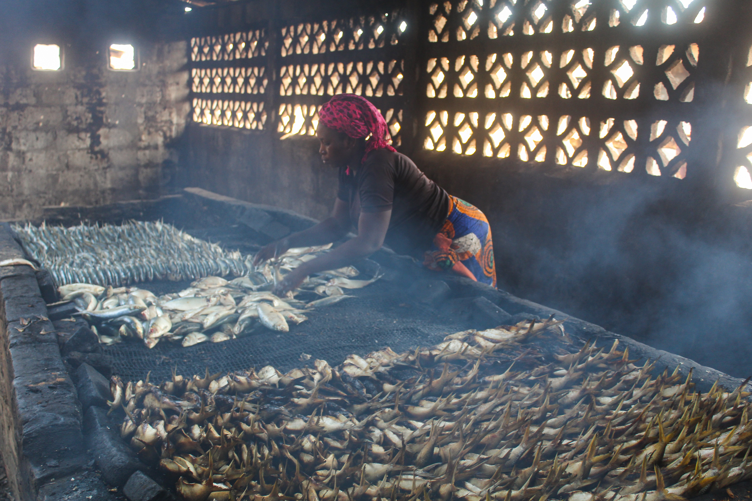A woman processes freshly-caught fish in a smokehouse on Gunjur Beach
