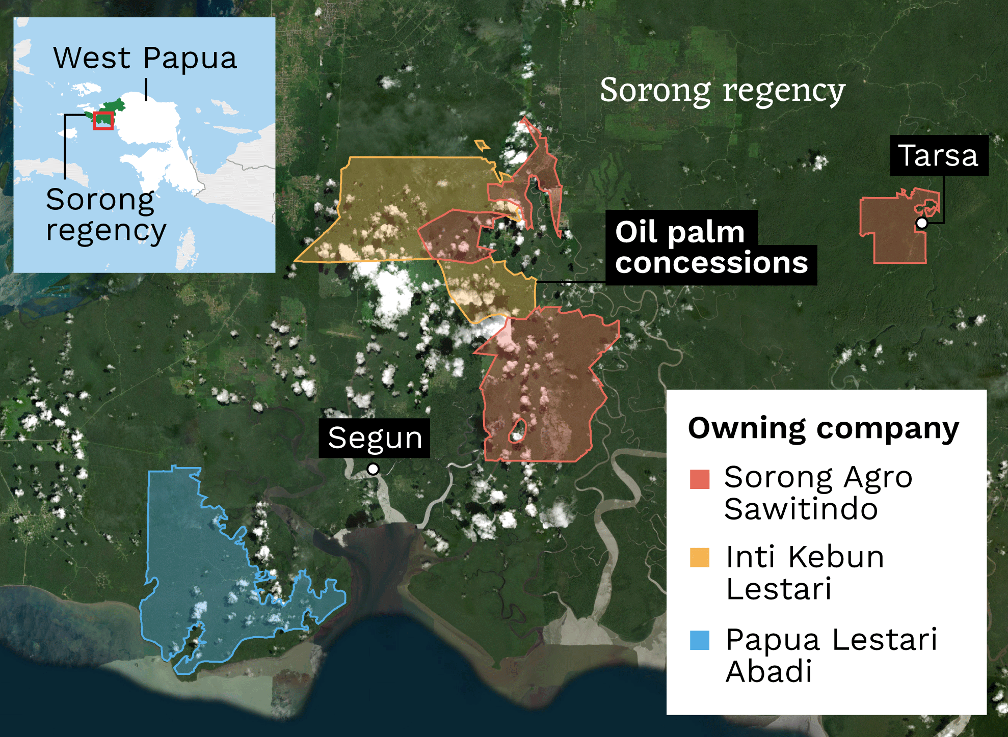 West Papua palm oil concessions map