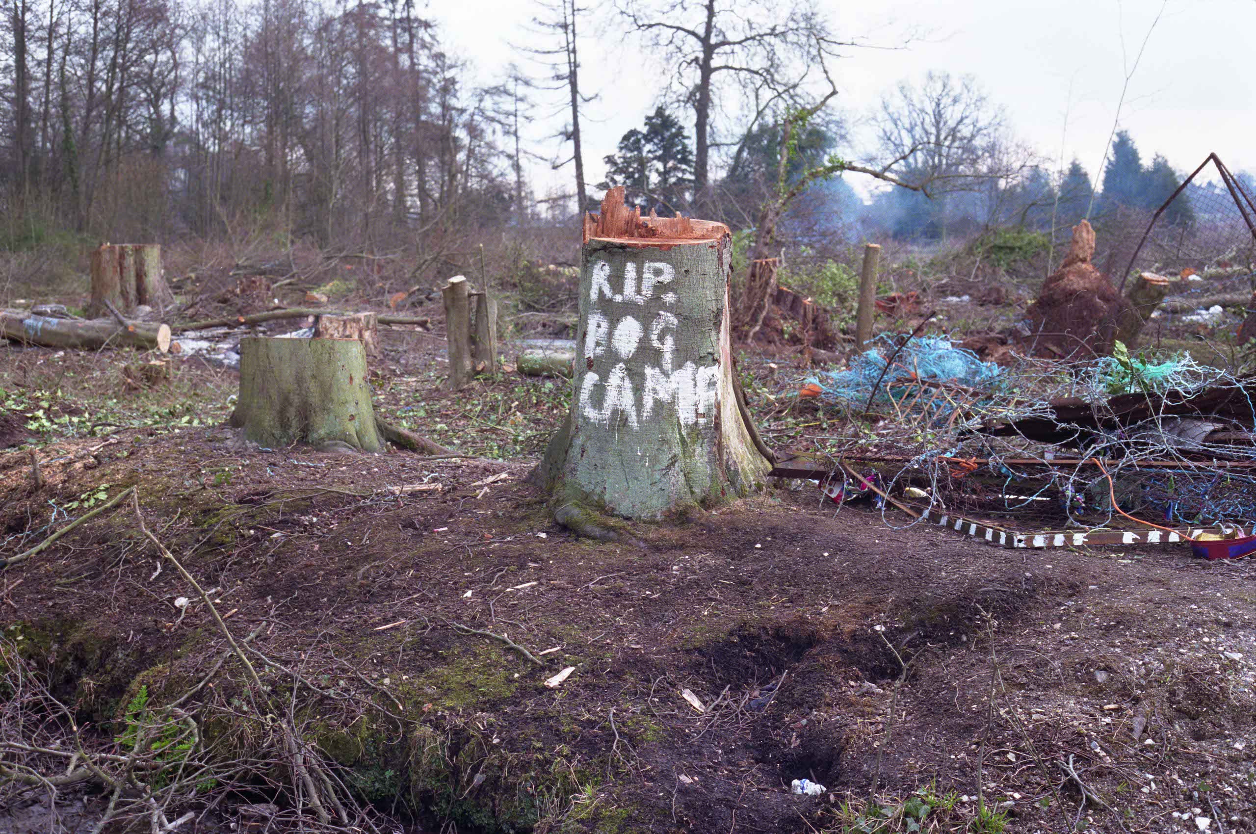 A tree stump in a deforested area painted with the words 'RIP Bog camp' in white