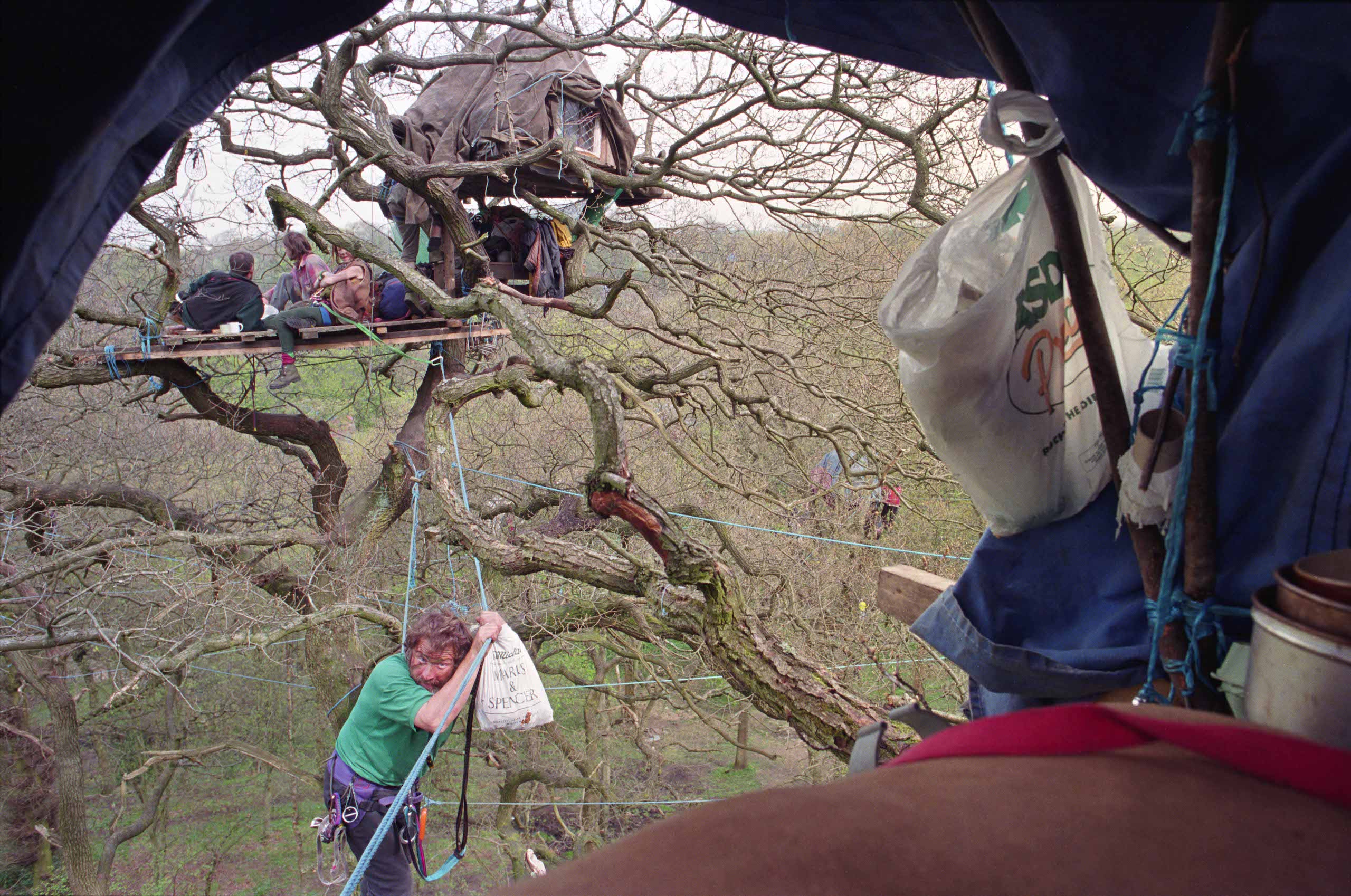 A man climbs along precarious ropes between protest tree houses. Historical photograph