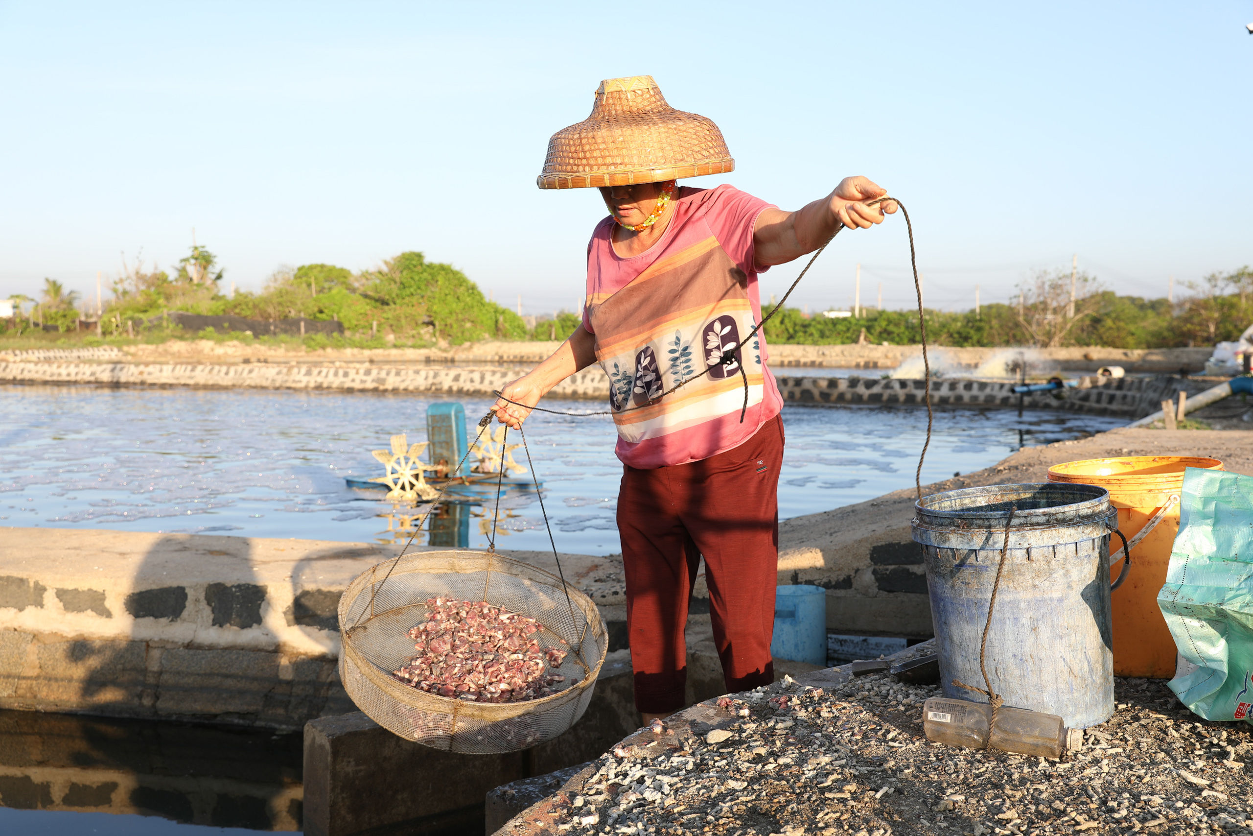 A woman in China’s Hainan feeds the fish in her family’s aquaculture ponds