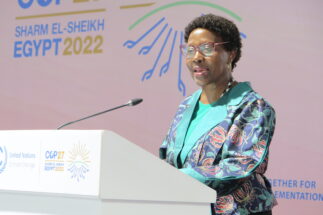 <p>Elizabeth Mrema, executive secretary of the UN Convention on Biological Diversity, speaks at the COP27 climate summit in Egypt, November 2022 (Image: Courtesy of the Secretariat of the Convention on Biological Diversity)</p>