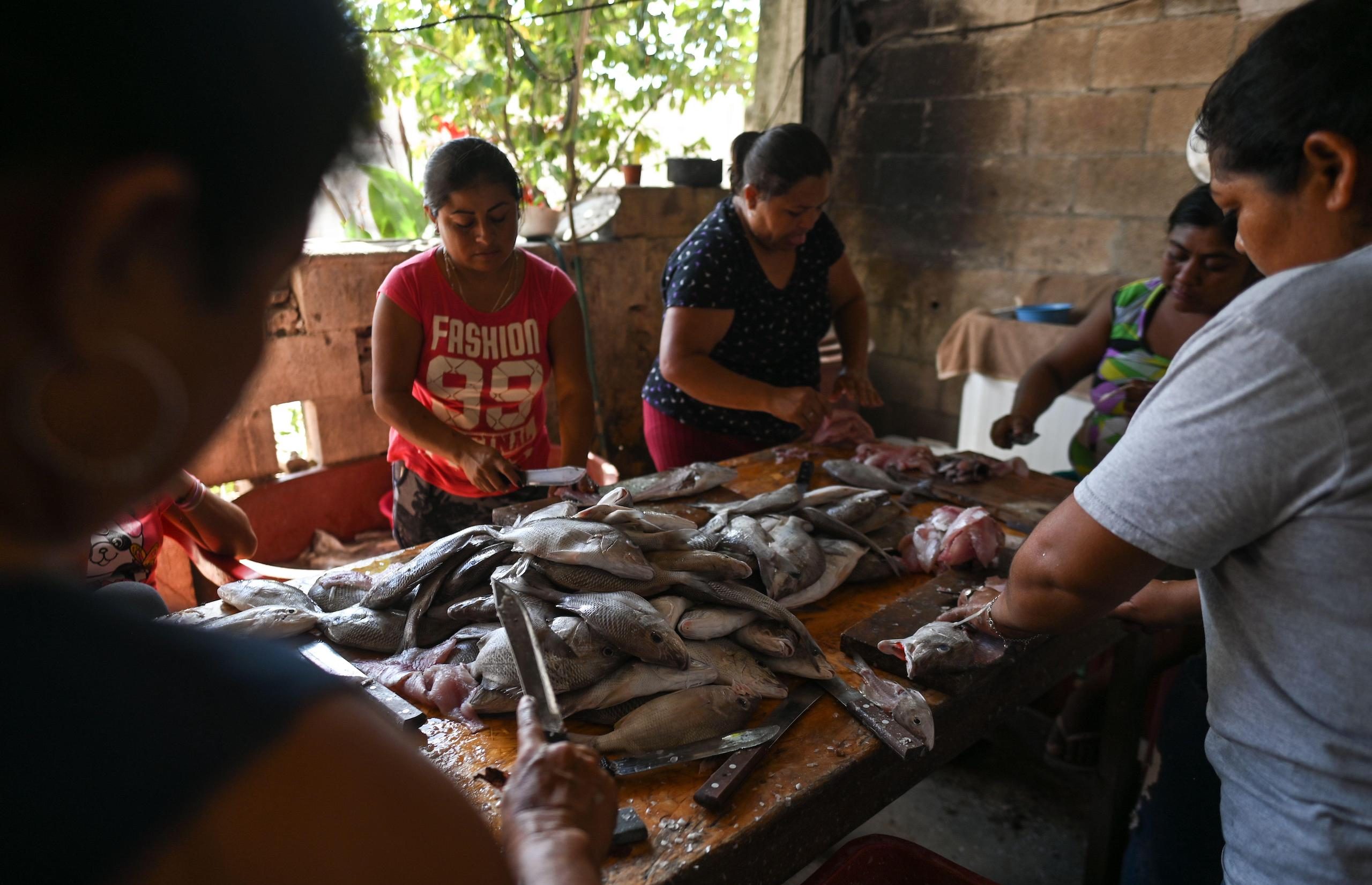 Local women peel and clean freshly caught fish by family members at their home in Celestun