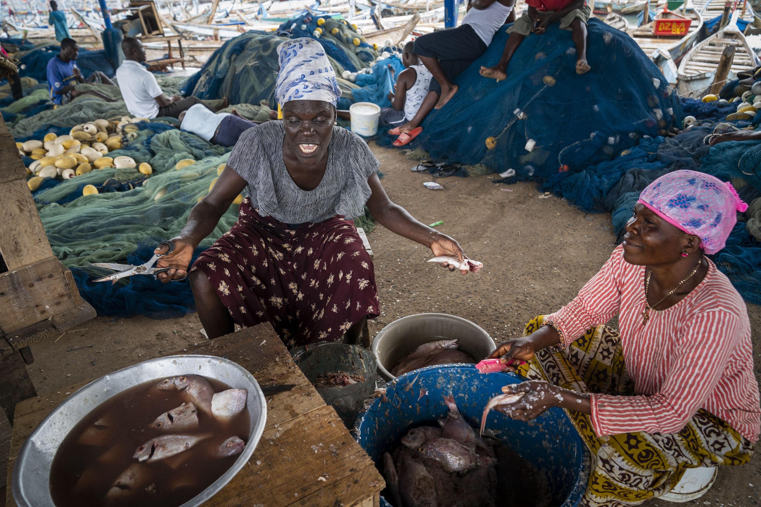 Local women sell old fish in the port city of Tema outside Accra in Ghana