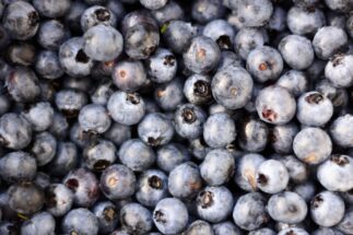 <p>Peru has made a remarkable rise in the last decade to become the world’s largest exporter of blueberries (Image: Corrado Baratta / Alamy)</p>