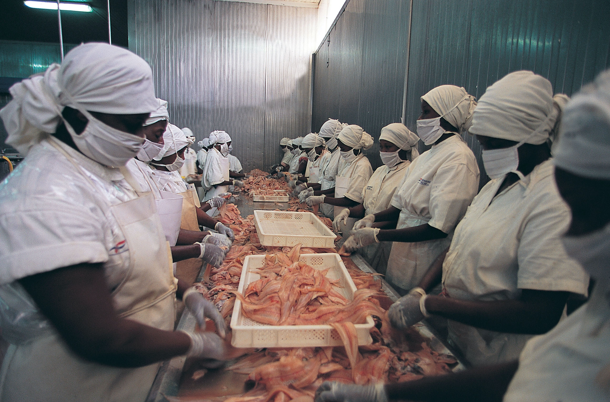 Seafood processing factory women workers Dakar Senegal
