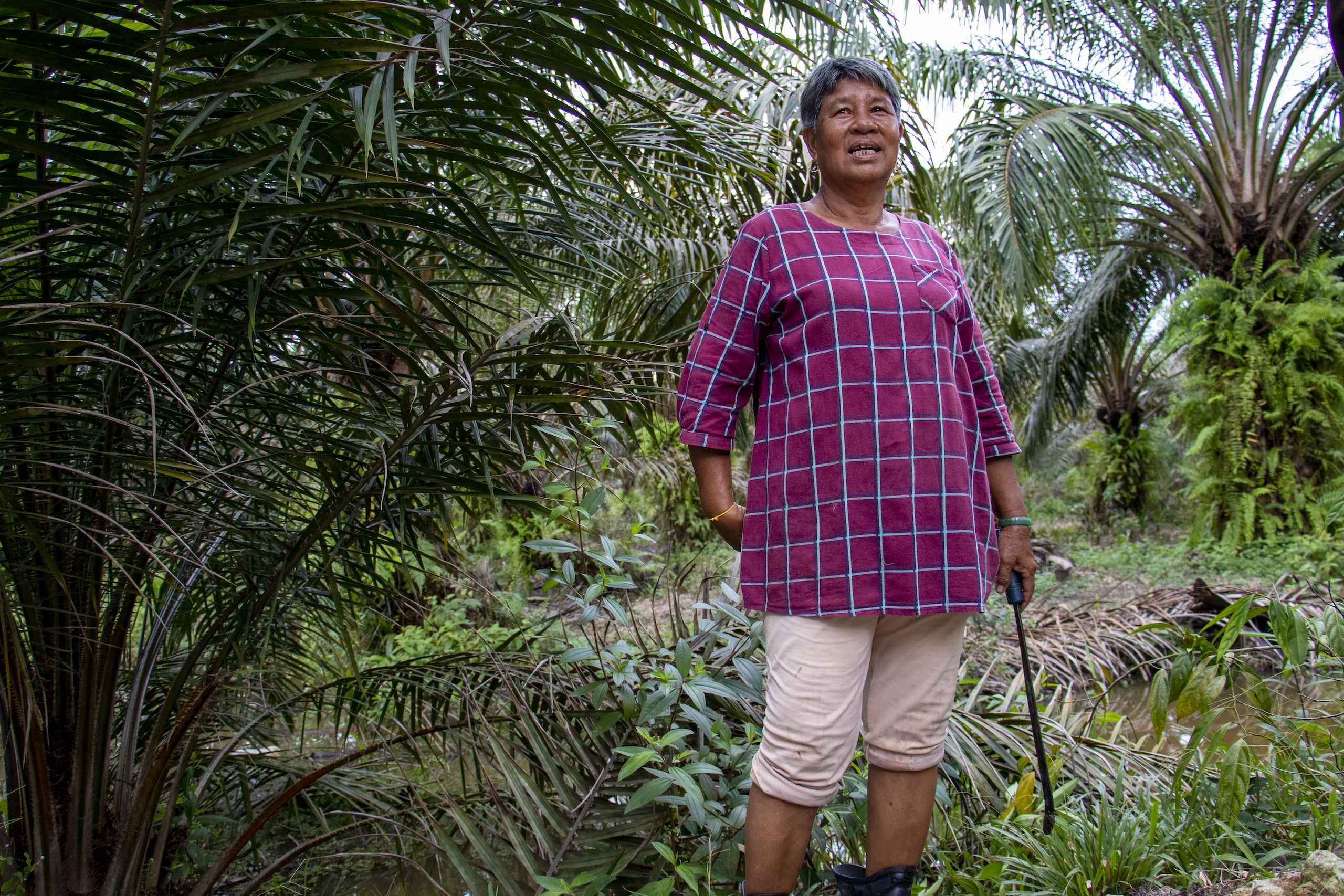 <p>阿兹纳·阿普·东金（Azina Ap Dongki），一位来自马来西亚霹雳州的奥朗阿斯利原住民村庄的棕榈油小农。（图片：林子晴 / 中外对话）。</p>