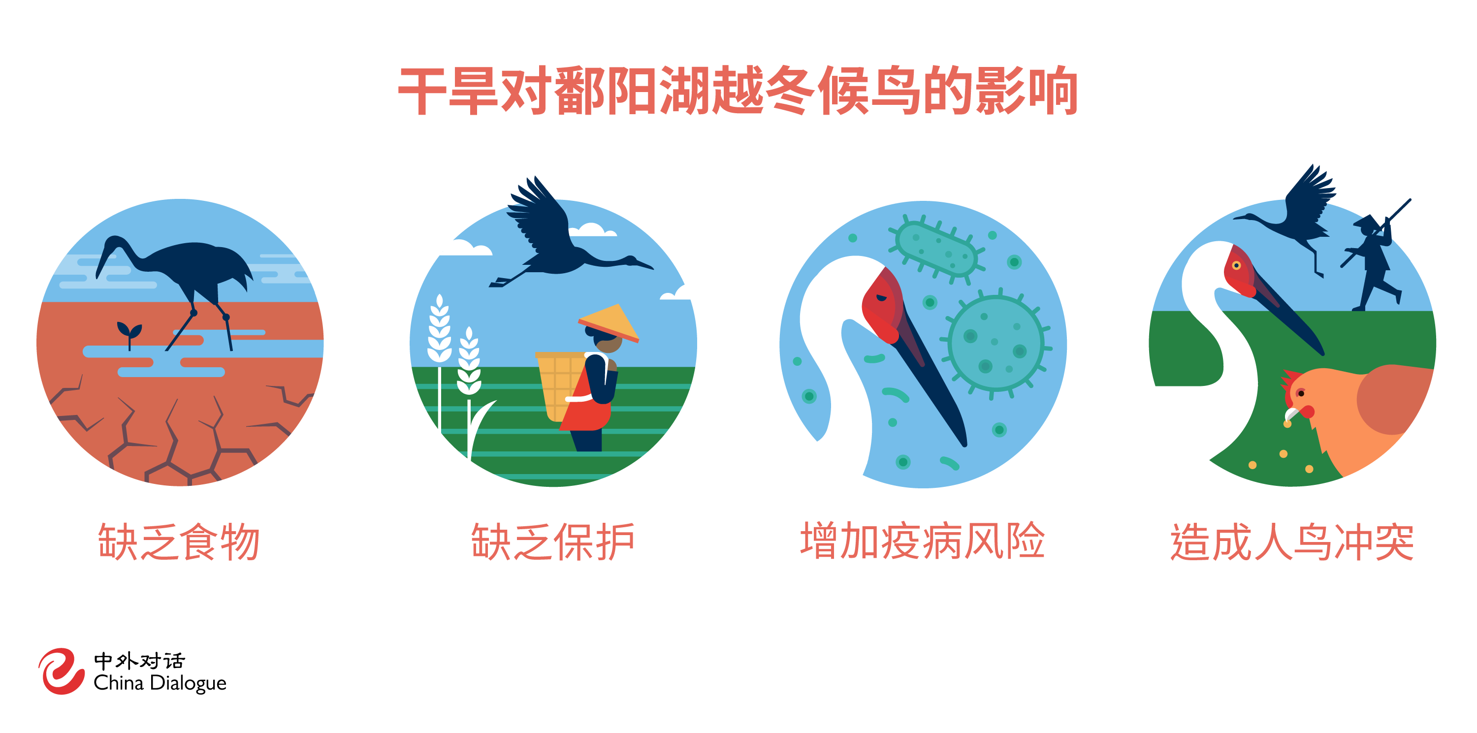 干旱对鄱阳湖越冬候鸟的影响