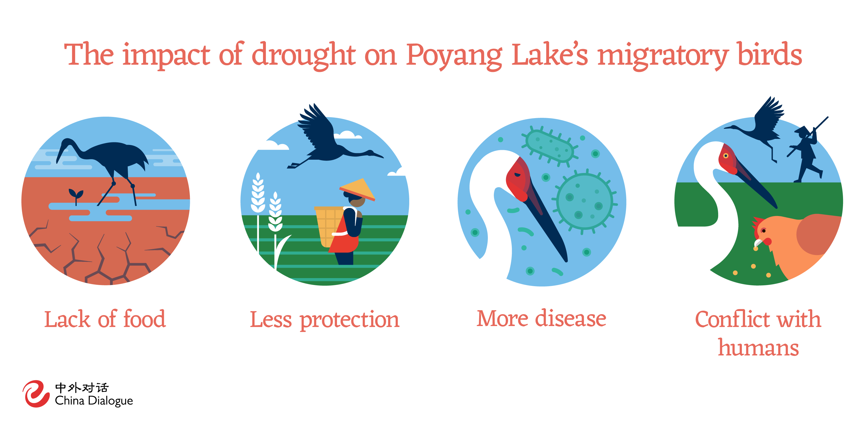 Poyang Lake impact on migratory birds