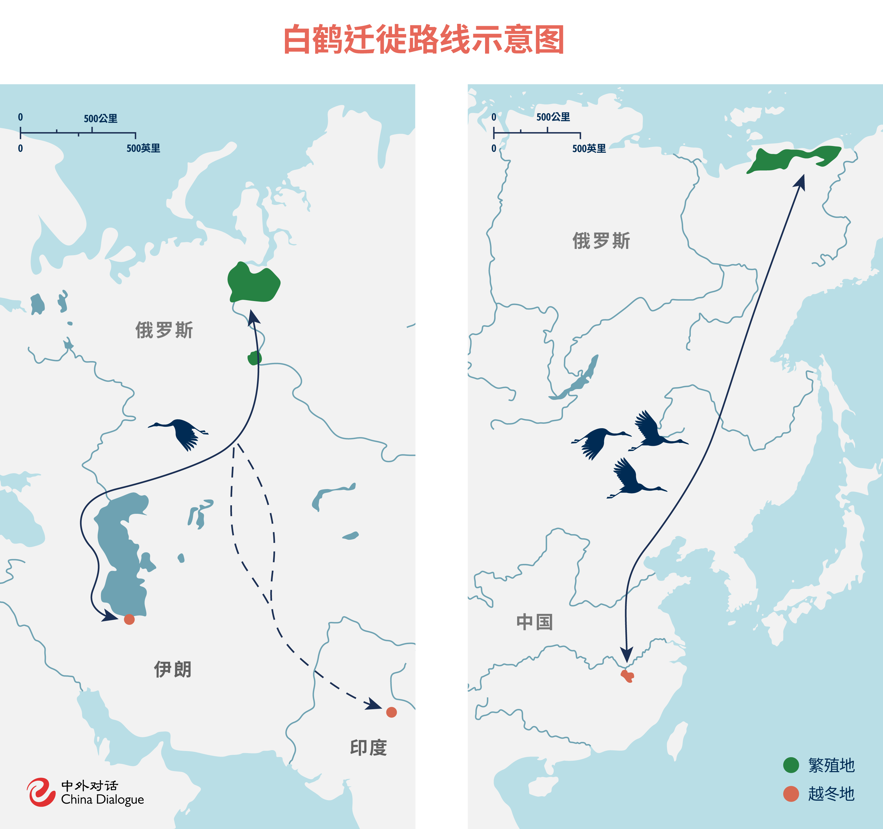 白鹤迁徙路线示意图