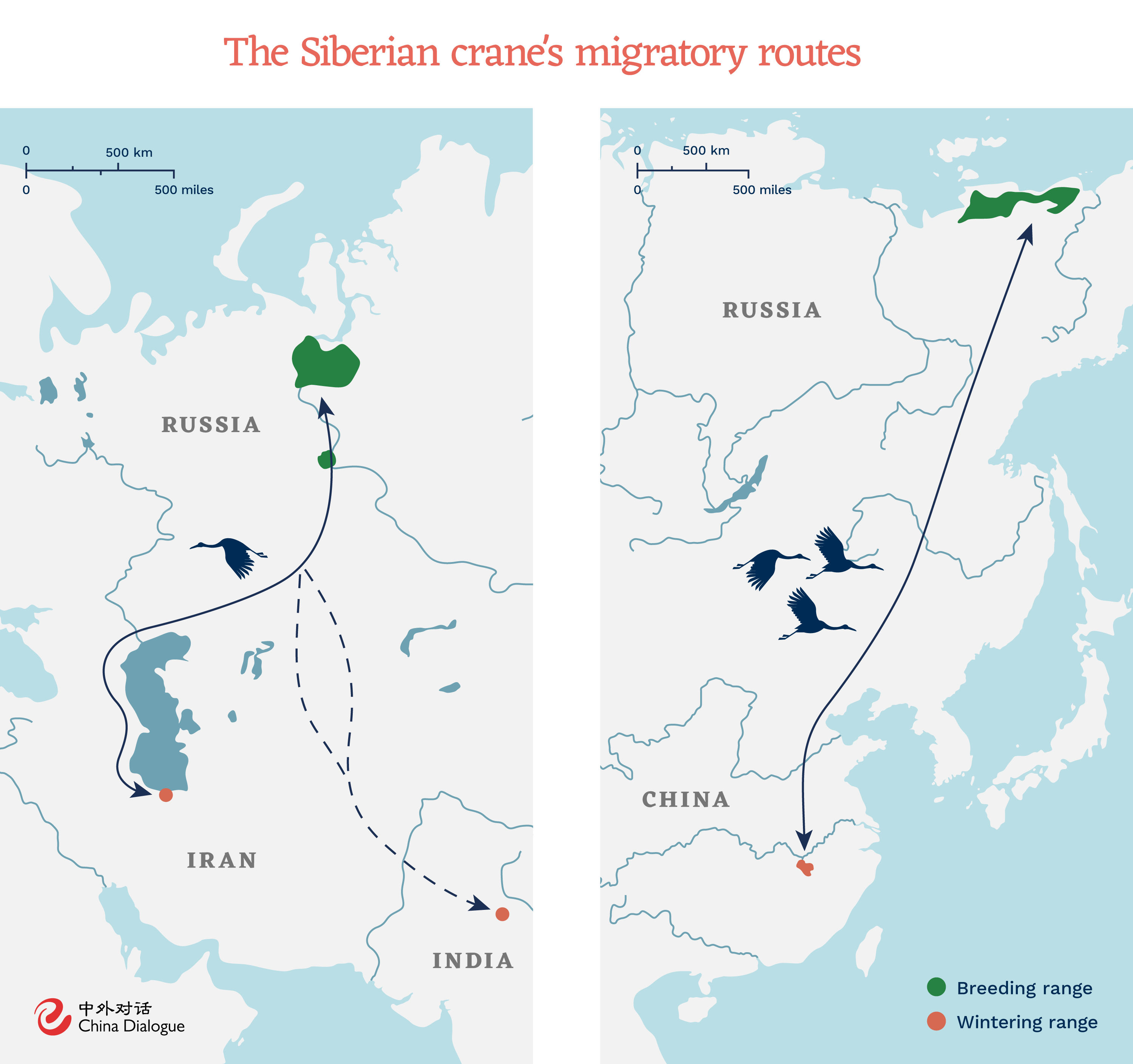 Poyang Lake migratory routes