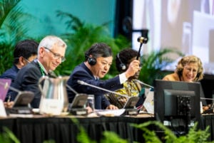 COP15 final plenary