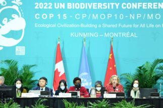<p><span style="font-weight: 400;">Cerimônia de abertura da segunda fase da COP15 em Montreal, no Canadá, em 7 de dezembro (Imagem: Lian Yi / Alamy)</span></p>