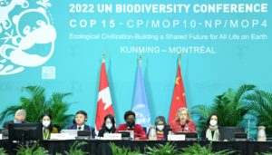 <p>在加拿大蒙特利尔举行的联合国《生物多样性公约》第15次缔约方大会（COP15）第二阶段会议开幕式。图片来源：Lian Yi / Alamy</p>