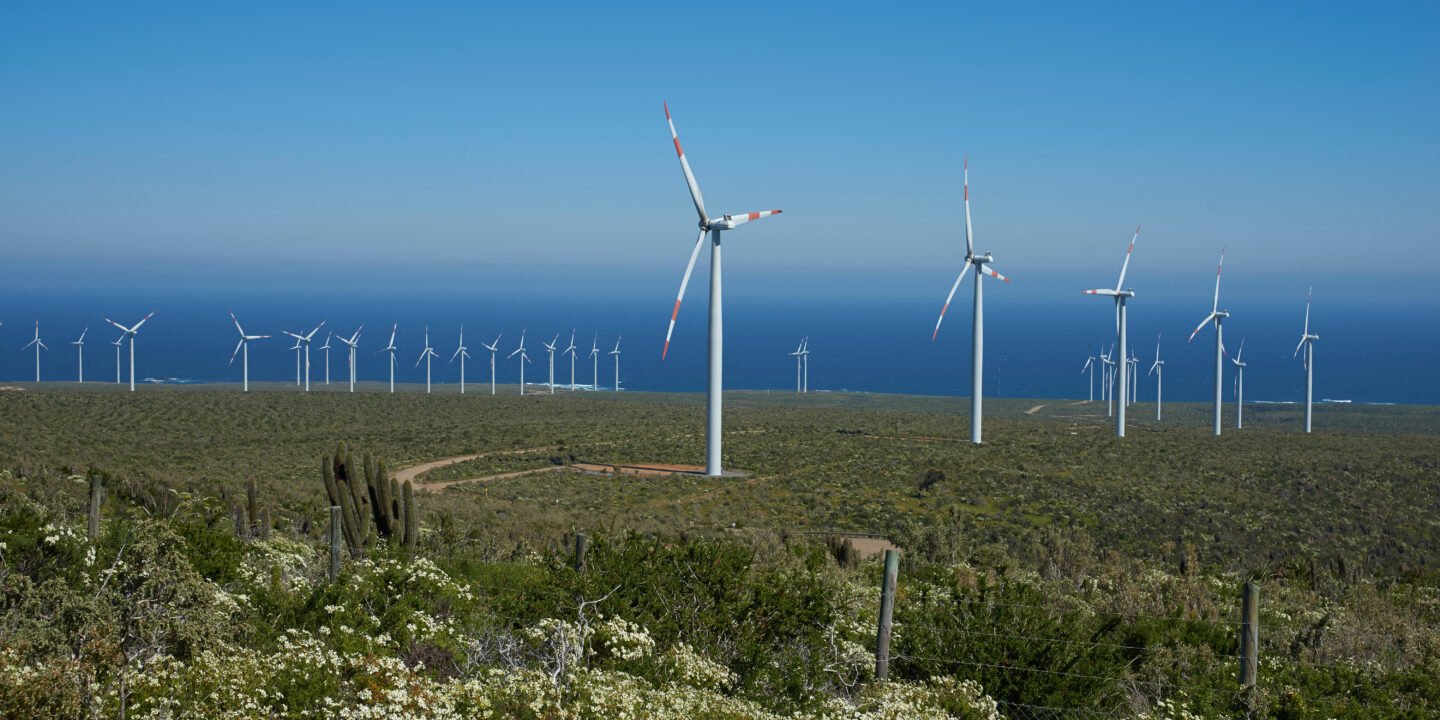 <p>Un parque eólico en la costa de la región de Coquimbo, Chile. El país espera aprovechar su potencial de energías renovables para impulsar la producción de hidrógeno verde (Imagen: Jeremy Richards / Alamy)</p>