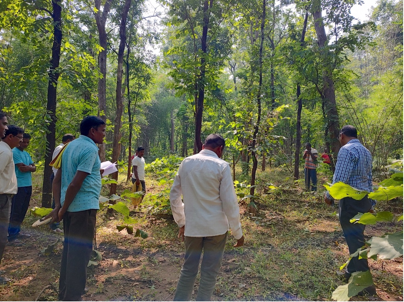 Community members in a Maharashtra village conduct a forest survey