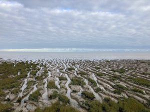 <p>英国埃塞克斯登吉自然保护区的潮汐泥脂，这是一处具有国际重要性的拉姆萨尔湿地。图片来源：Ned Pennant-Rea / 中外对话</p>