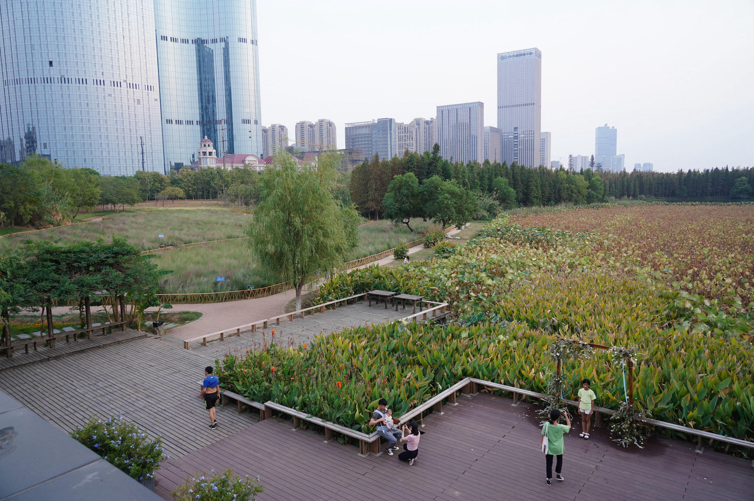 A wetland park in Nanchang, Jiangxi province