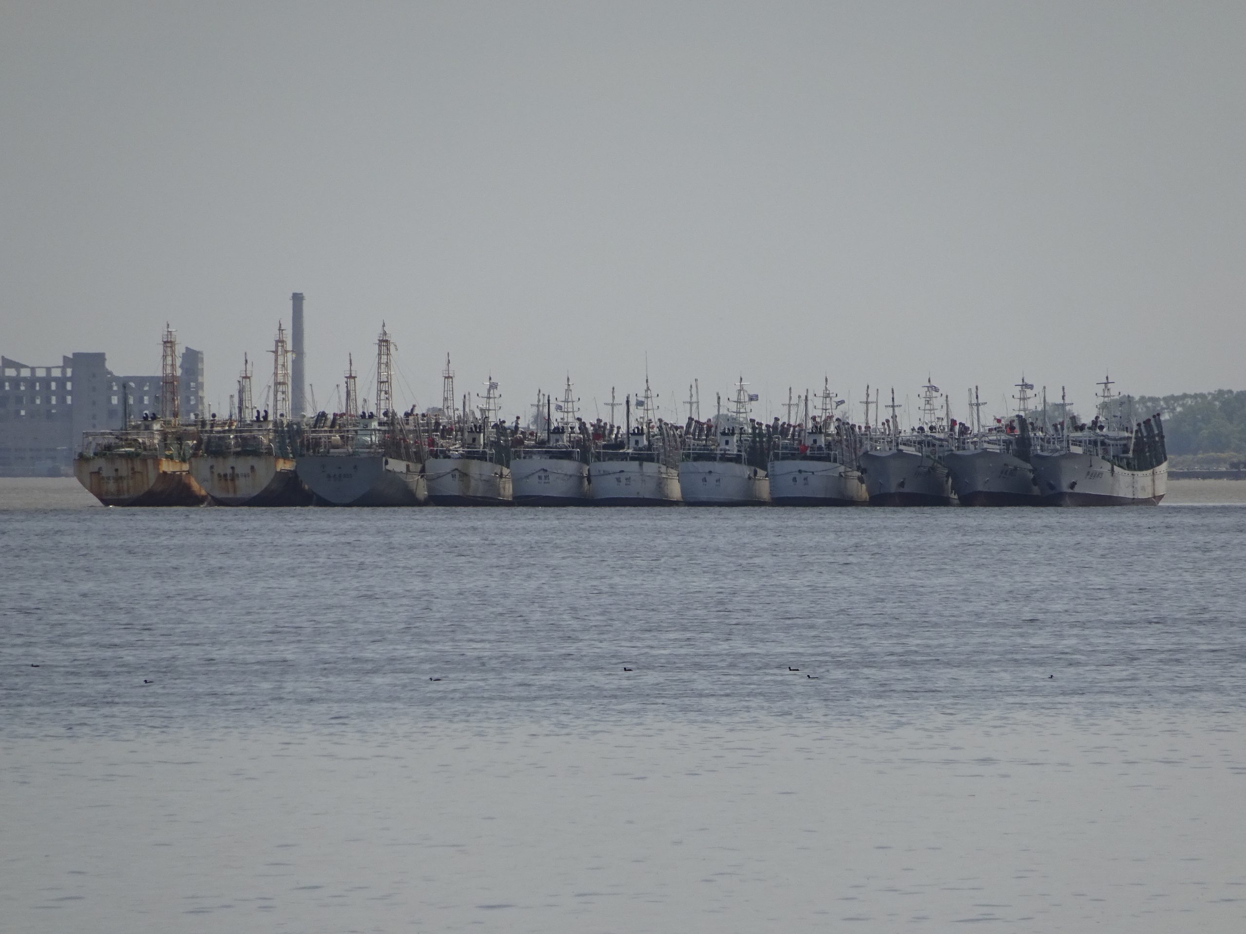 Hilera de barcos en el Puerto de Montevideo