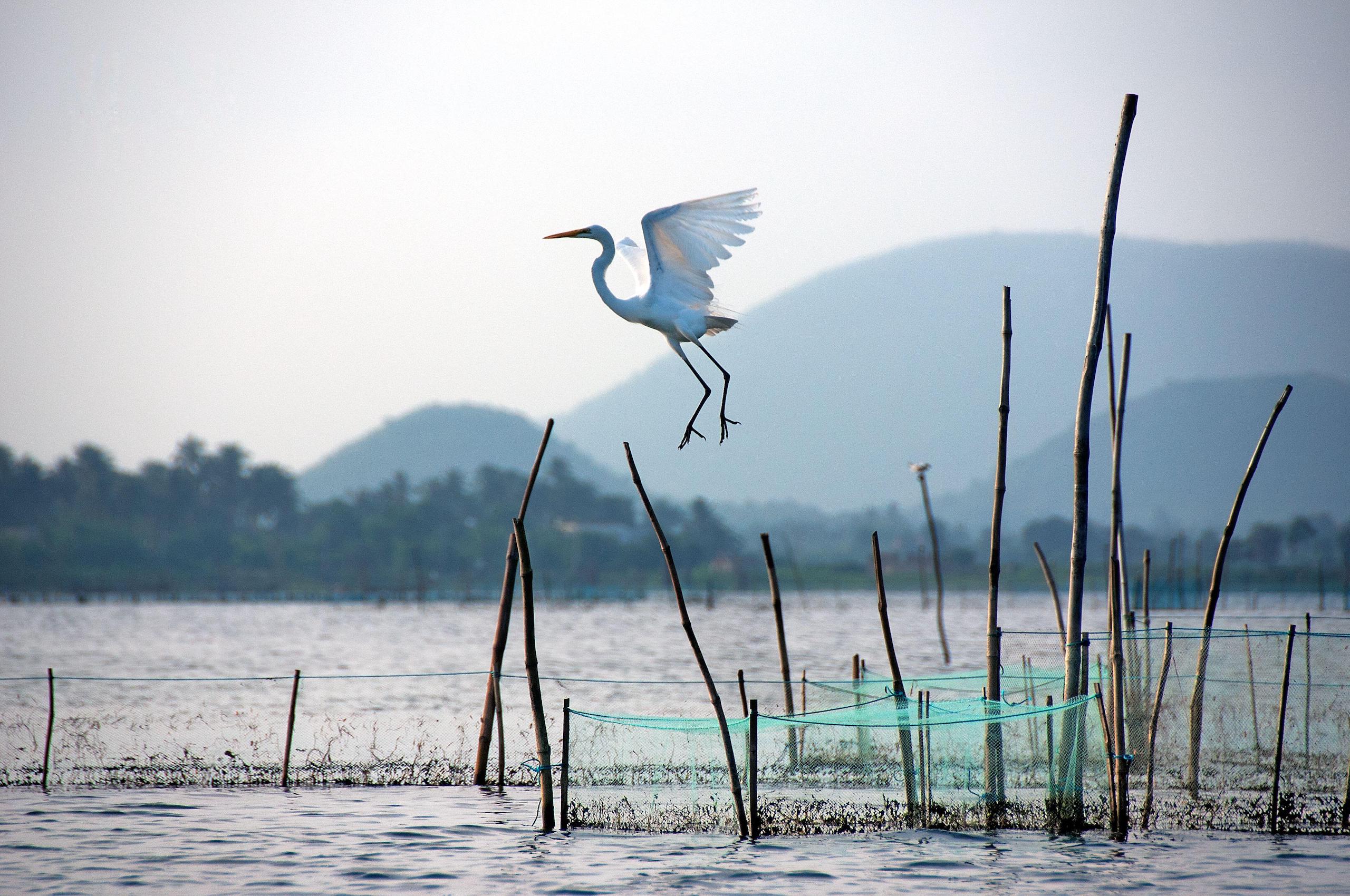 Chilika Lake, India