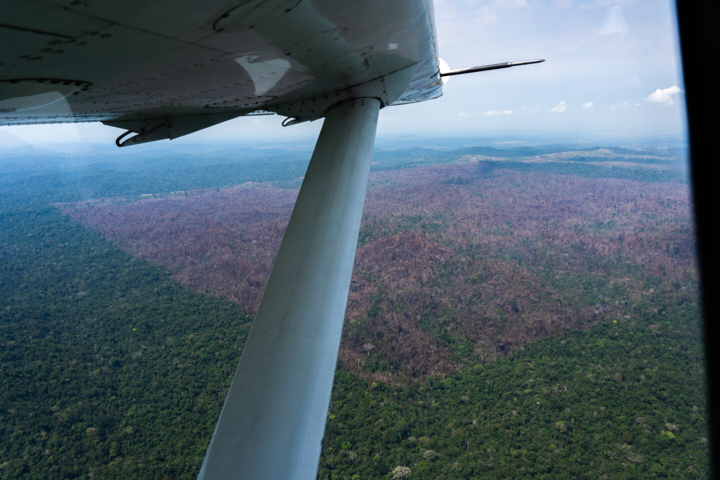 Vista áerea desde una avioneta de deforestación