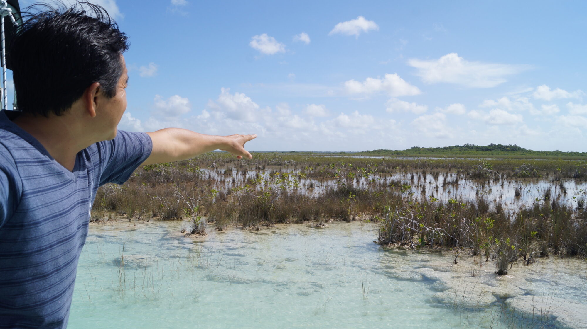 Professor Martin Maas points out the area where the red mangroves reforested by his students