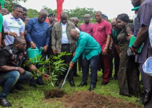 <p>加纳总统纳纳·阿库福·阿多 (Nana Akufo-Addo) 在阿克拉种下一棵树苗，以纪念 2022 年绿色加纳日。 （图片来源：加纳国土资源部）</p>