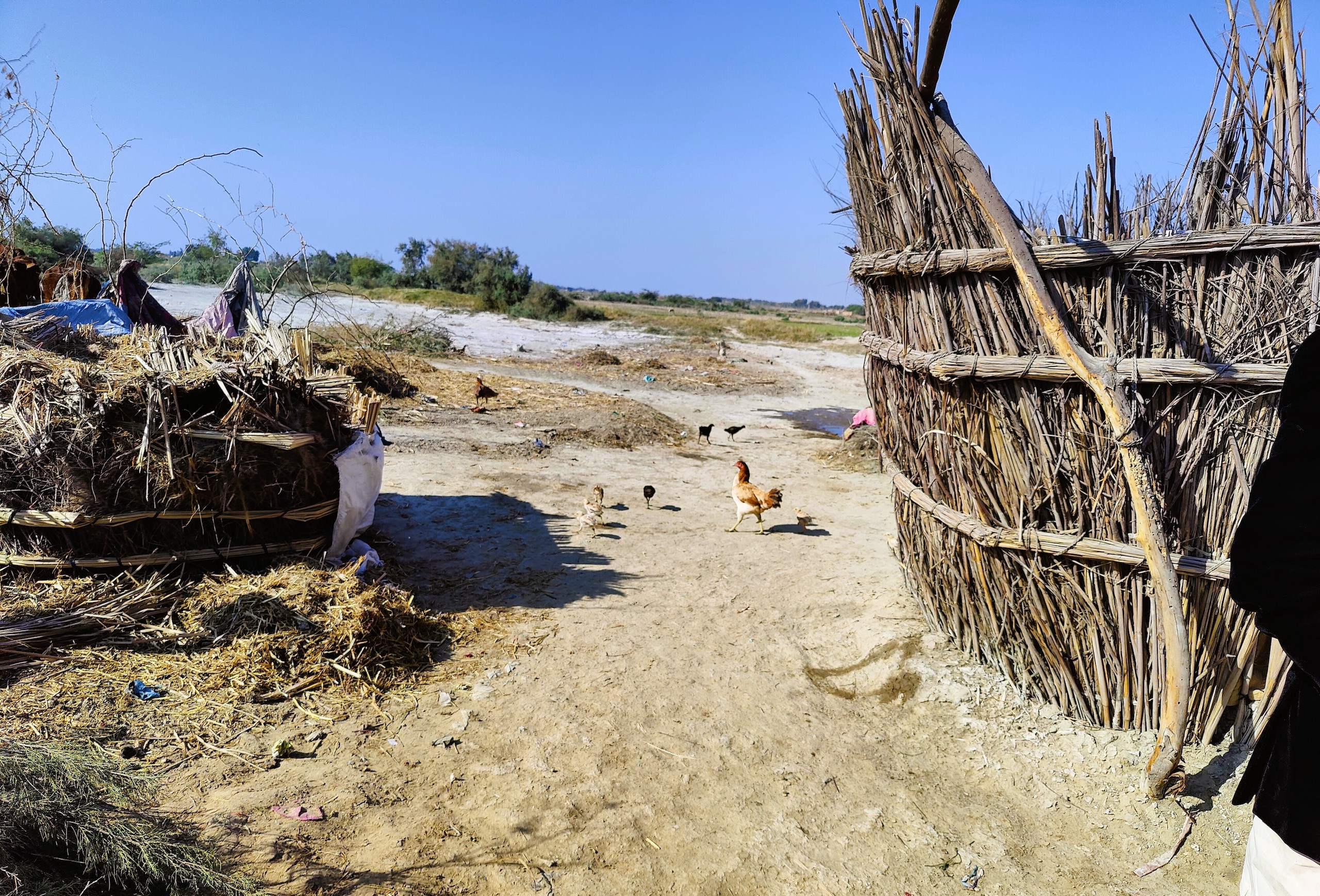 The village of Goth Ali Muhammad Soomro 