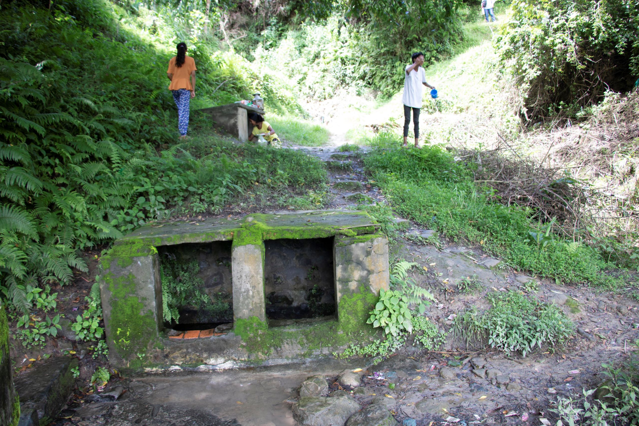 A neglected natural spring 