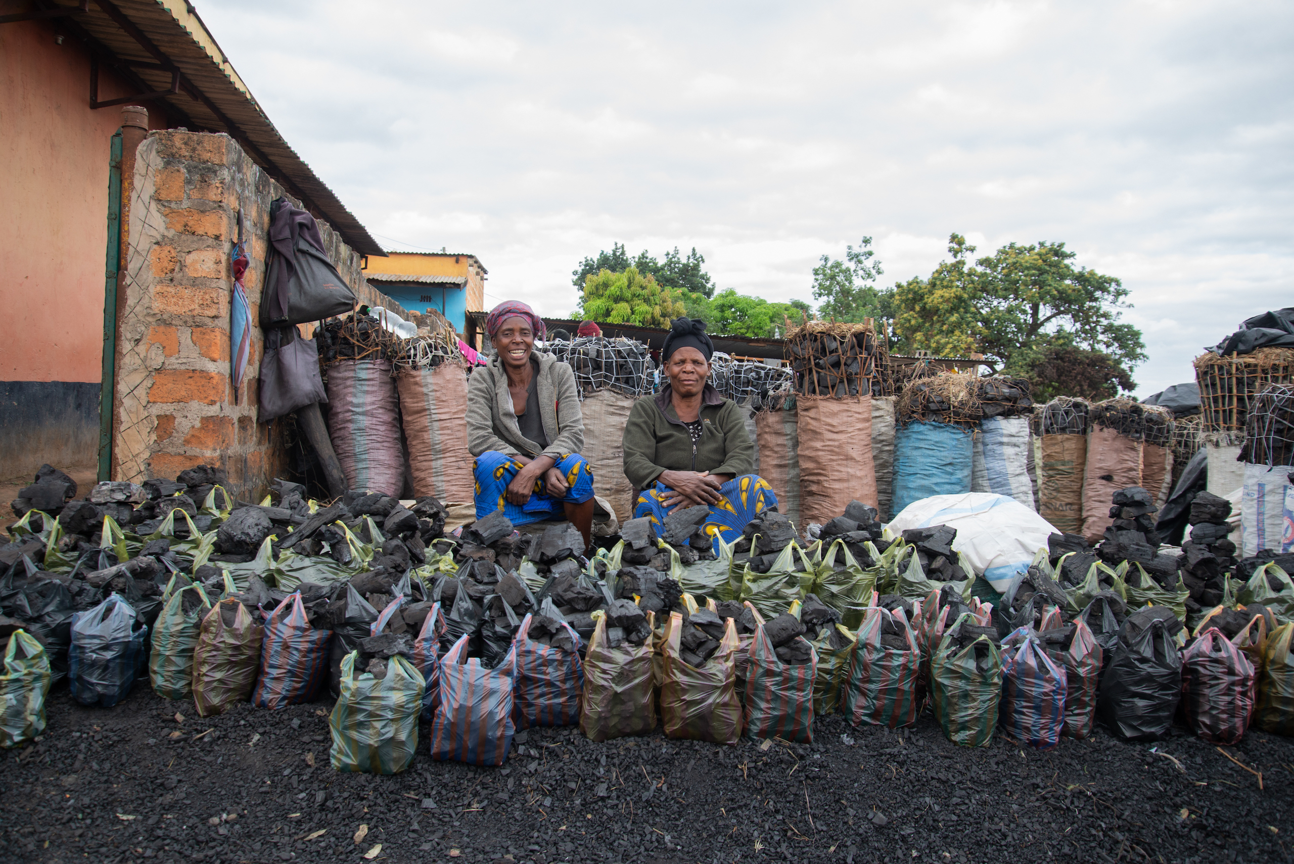 Two women sit behind dozens of plastic bags full of charcoal, bundles of charcoal piled up behind them, Zambia