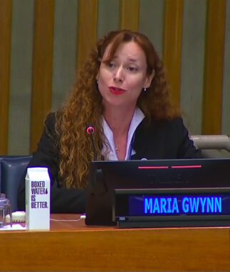 Maria Gwynn, international lawyer and member of Itaipu dam supervisory board, speaks at the 2023 UN Water Conference in New York