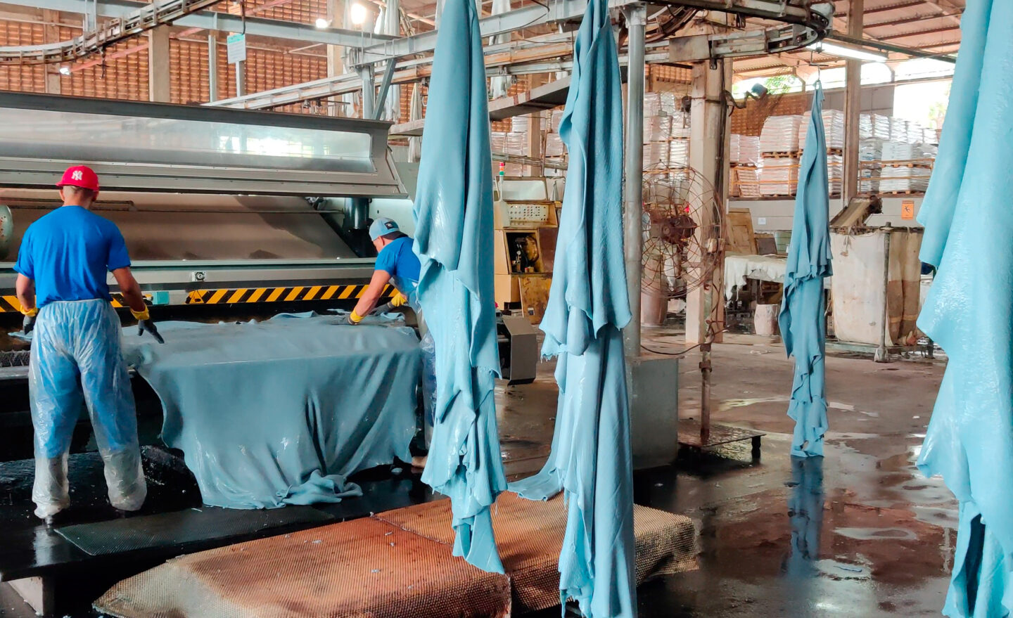 Trabajadores producen cuero "wet blue" en una curtiembre en Brasil