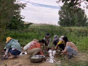 <p>在中国西北阿拉善盟，参加生态农庄“致良田”活动的成员们正在田间的水渠里洗菜。图片来源：马彦伟/致良田</p>