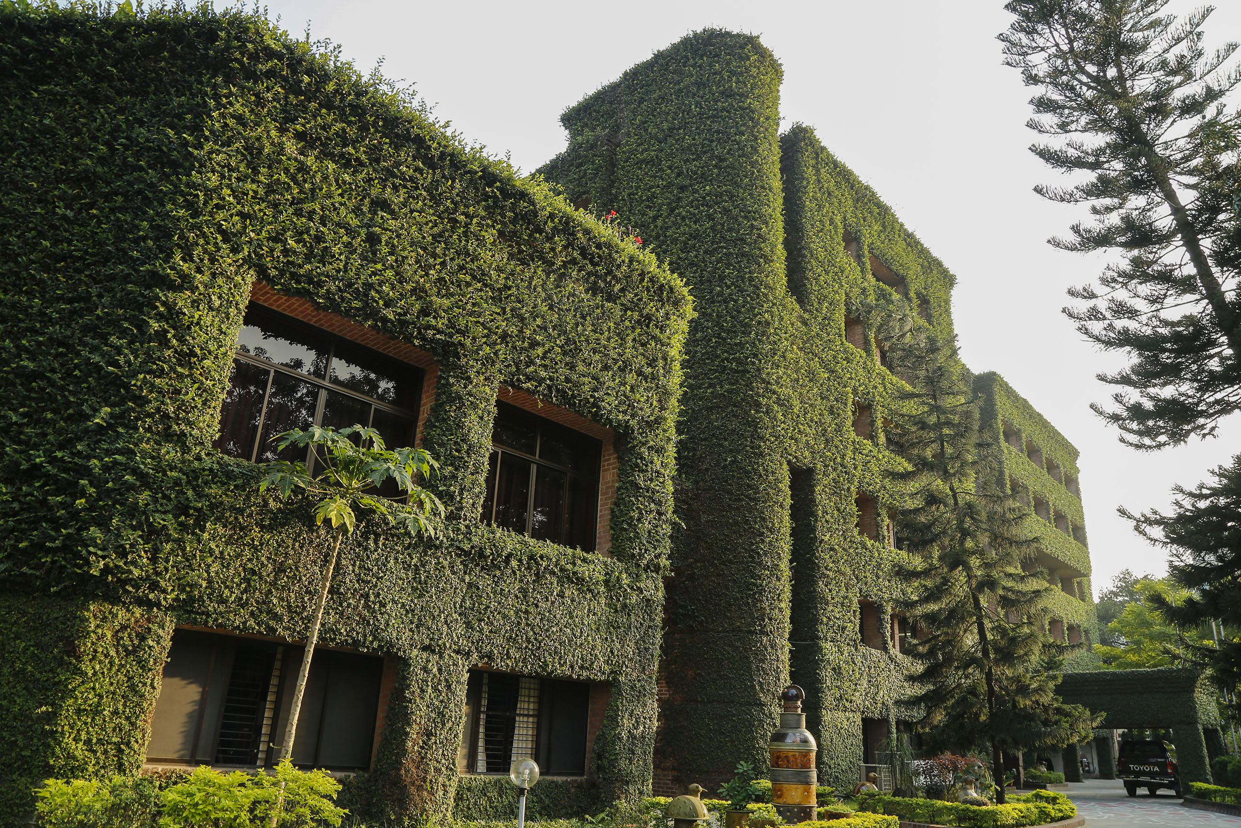 Buildings covered with green plants in Rangpur, Bangladesh