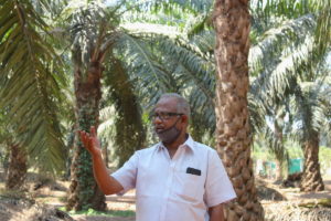 Madhava Rao, an oil palm farmer, in front of his plantation