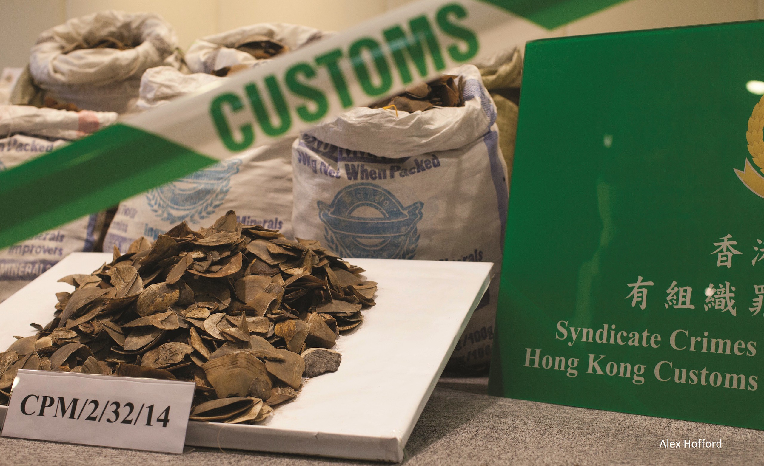 Illegally traded pangolin scales seized by Hong Kong customs authorities