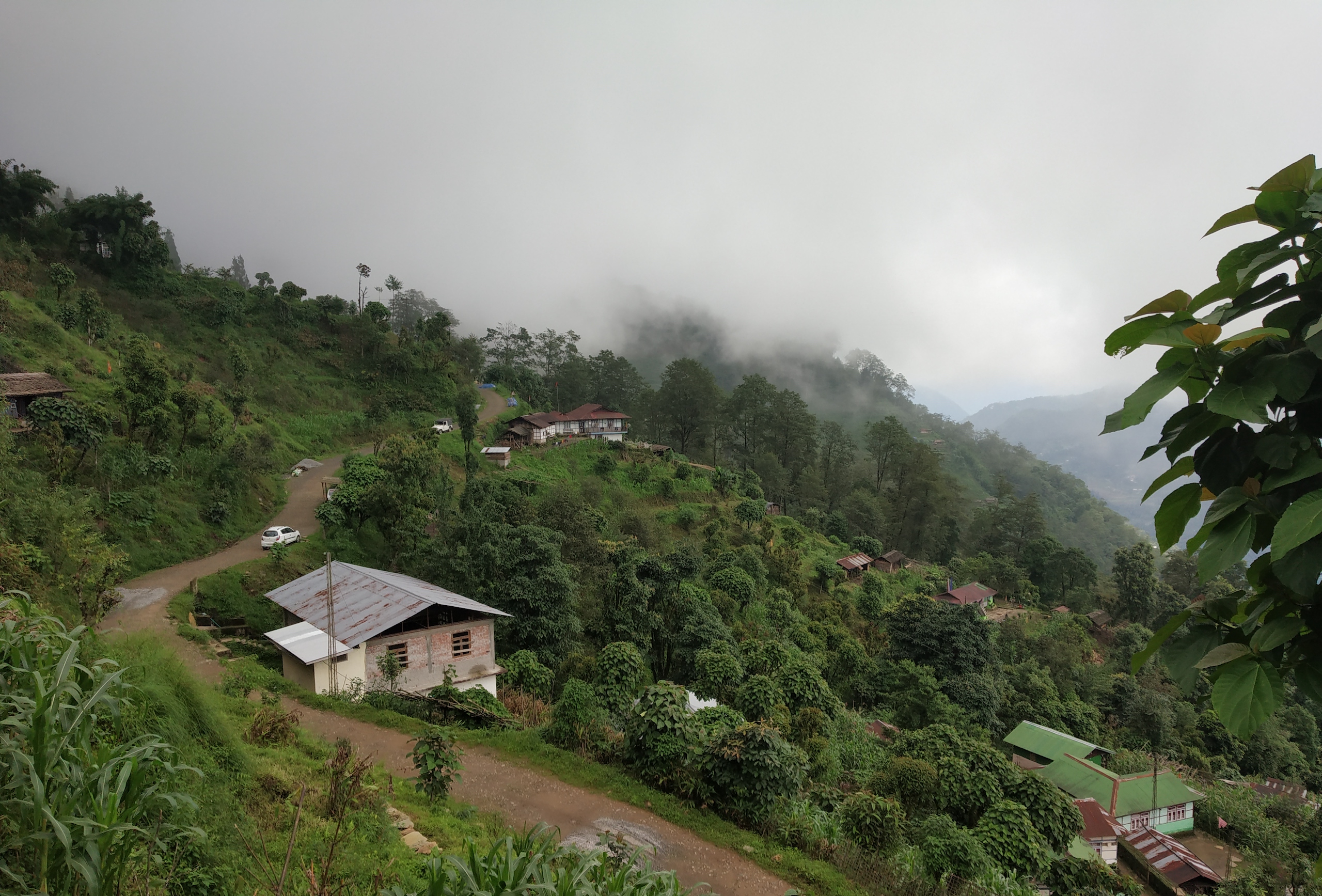 Green misty hillside in Sikkim India, dotted with small houses