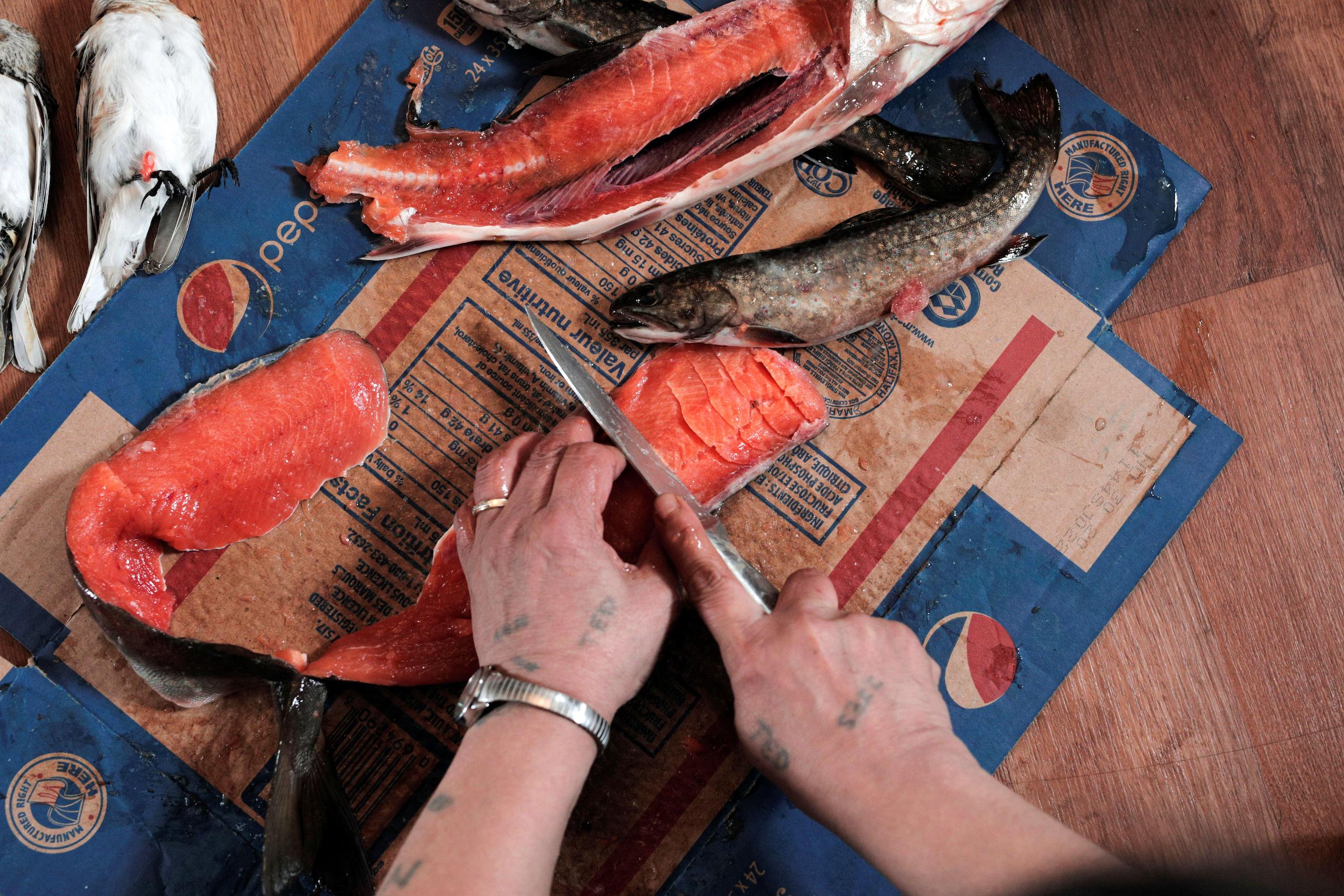 View from above of two hands scoring pink flesh of Arctic char with a knife - a fish important to Inuit communities