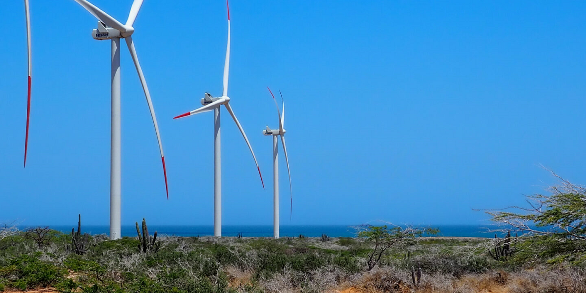 aerogeneradores eólicos en una zona costera