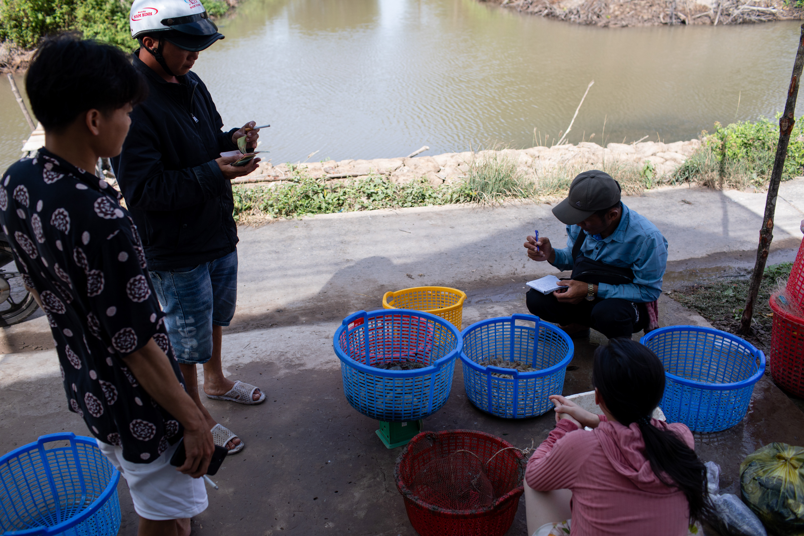 Le Van Tan (sitting), a trader in Ngoc Hien District weighed Thac’s catches in the following morning
