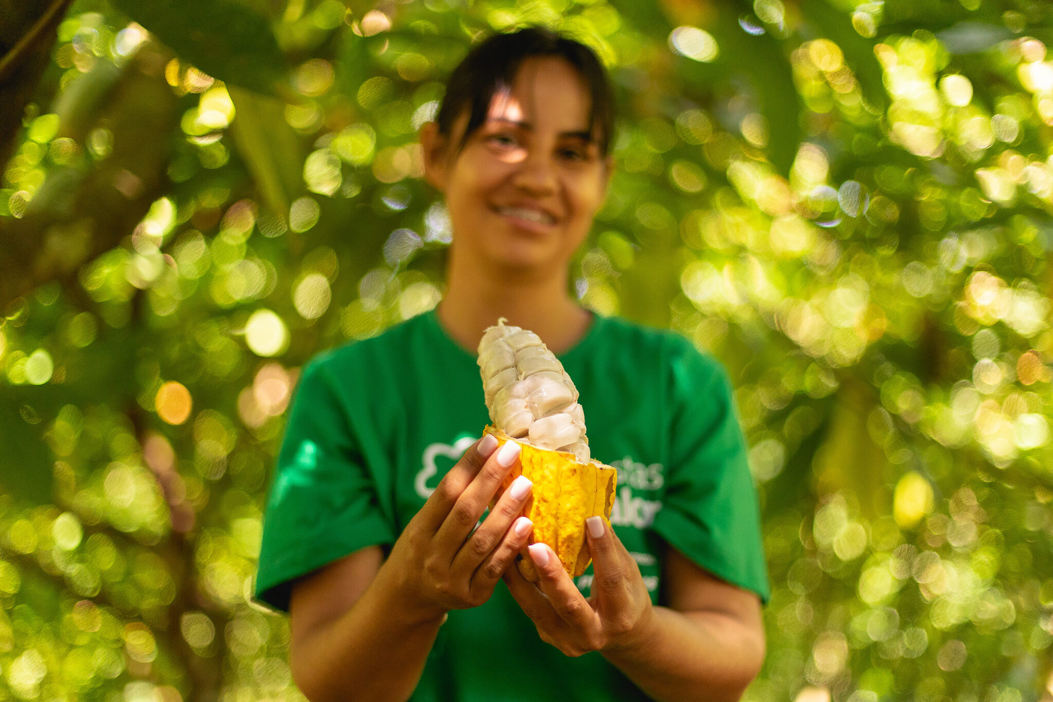 person holding open cacao pod