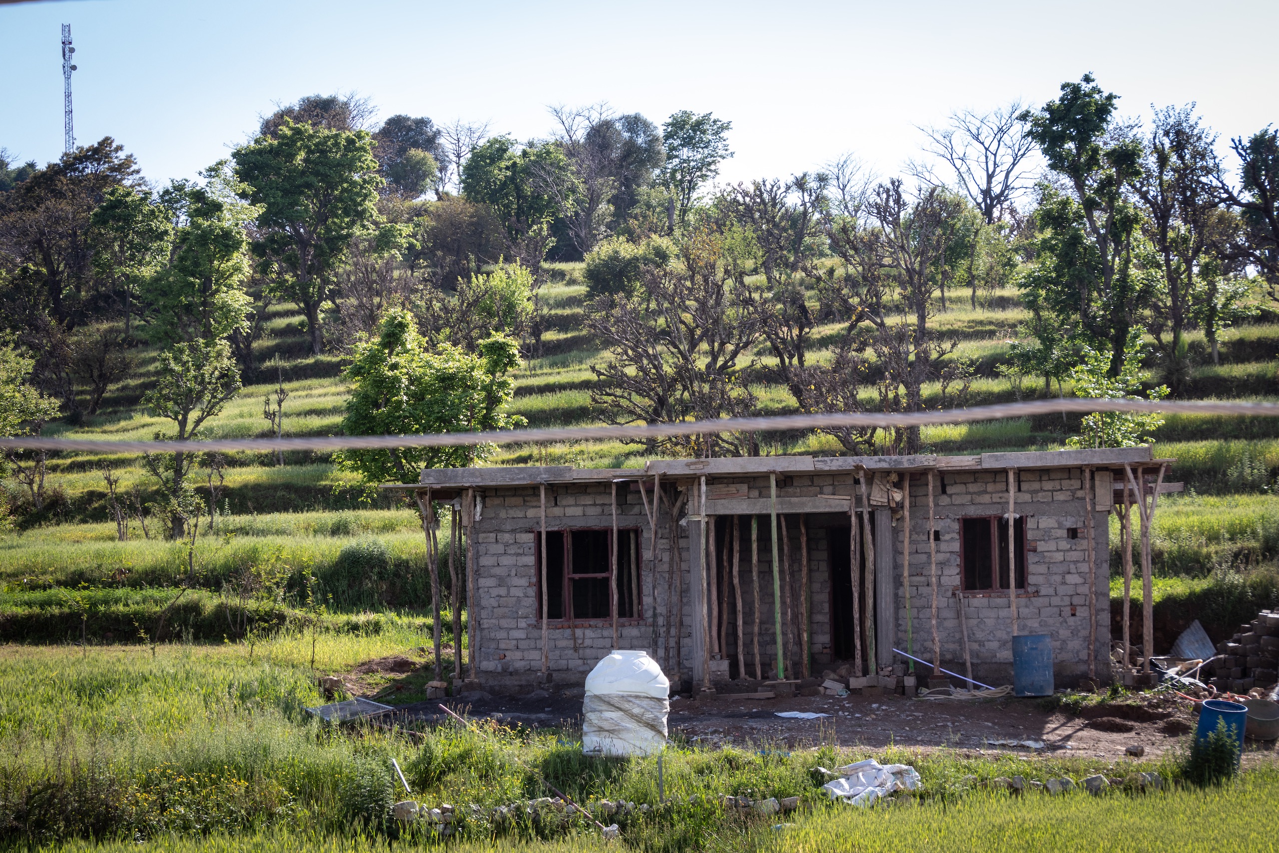 An agricultural field in the Salal village of Reasi district in Jammu and Kashmir. The farmers practise step farming for mostly growing maize and wheat. (Image: Ashish Kumar Kataria)